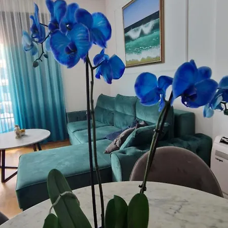 Plava Orhideja Apartment *