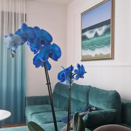Plava Orhideja Apartment