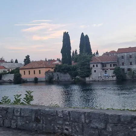 Plava Orhideja *