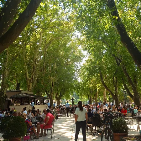 Plava Orhideja * Trebinje